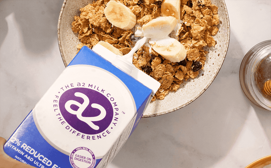 a2-2P-reduced2-desktop_resized